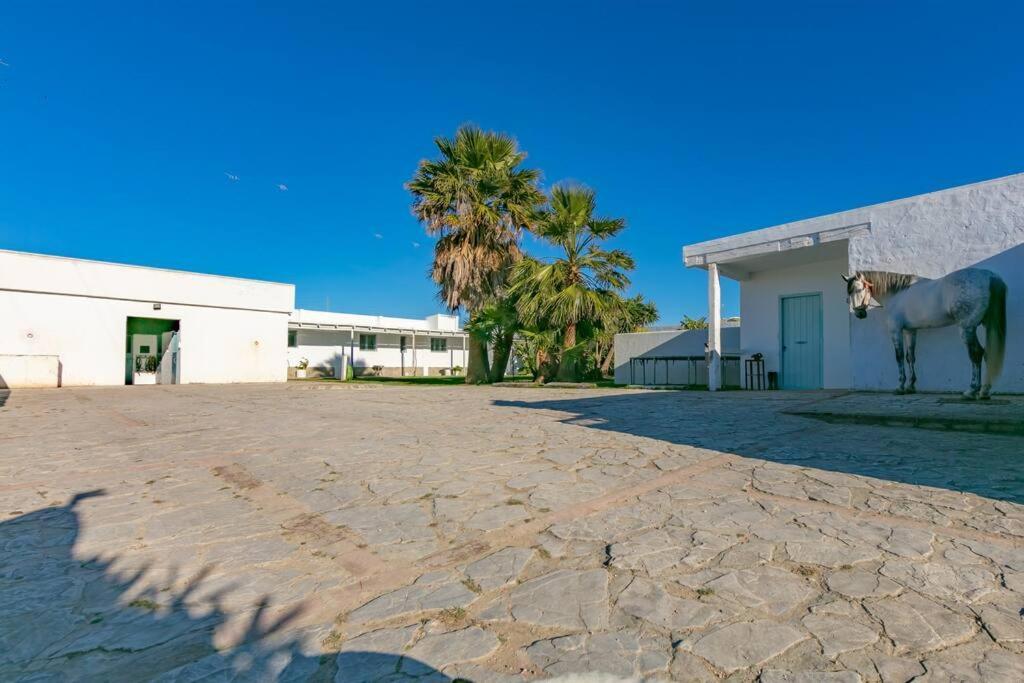 Habitaciones Rurales La Vega Tarifa Exteriör bild