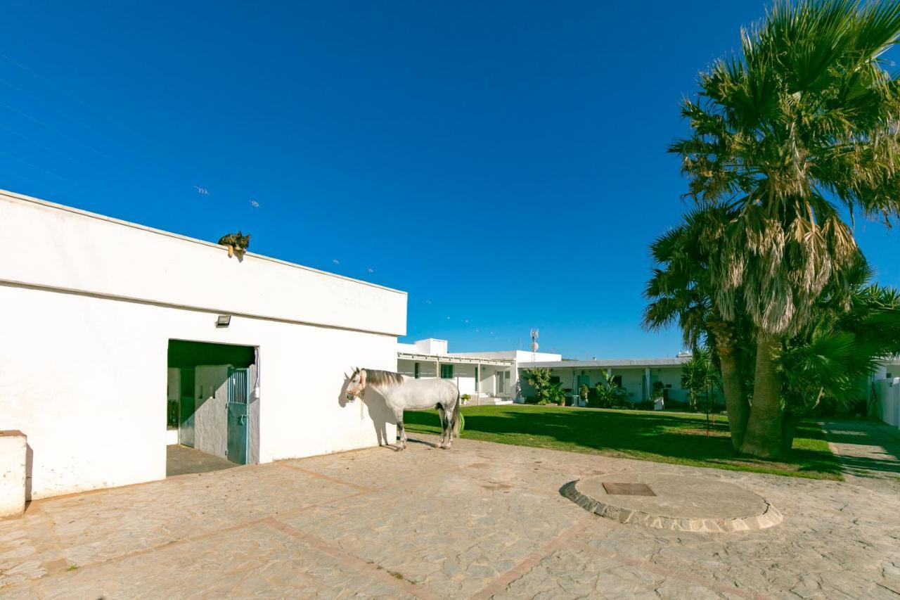 Habitaciones Rurales La Vega Tarifa Exteriör bild